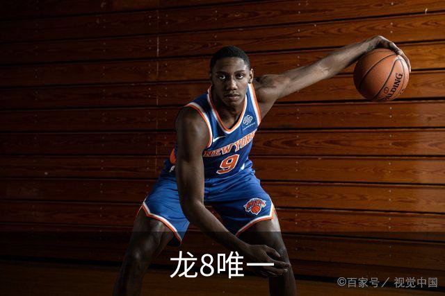 龙8唯一公司简介
